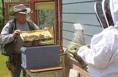 MAA Adds Bee Program